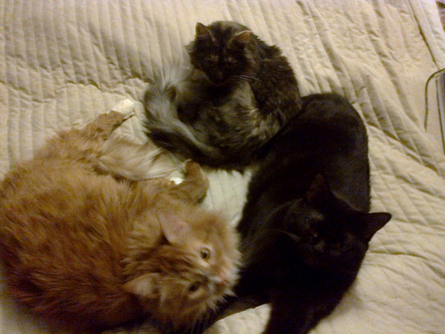 Поймал в подъезде