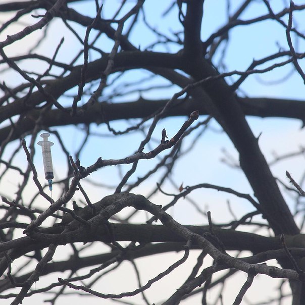 Интересные и веселые картинки