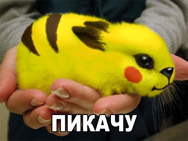 Забавные картинки из сети