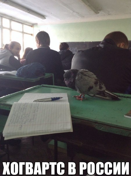 Подборка интересных и веселых картинок