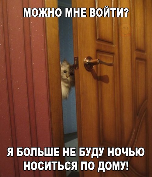 Подборка интересных и веселых фото