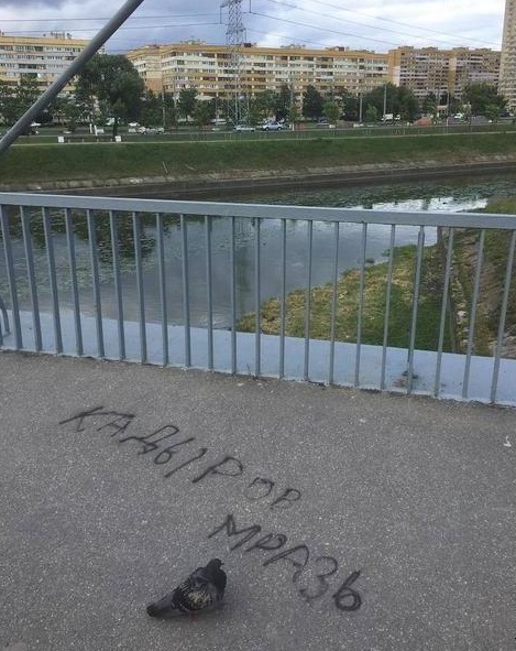 Охрана Будановского моста в Питере