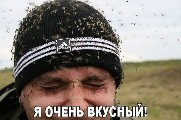 Подборка интересных и смешных картинок