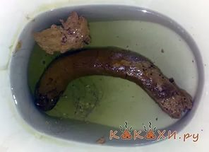 Свинодевушки