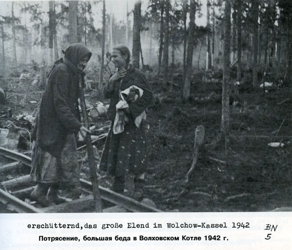 Волховский фронт. 1942. Взгляд с той стороны.