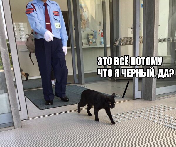 Порция картинок из сети