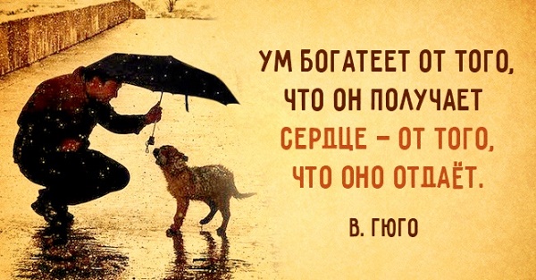 В тему свадеб
