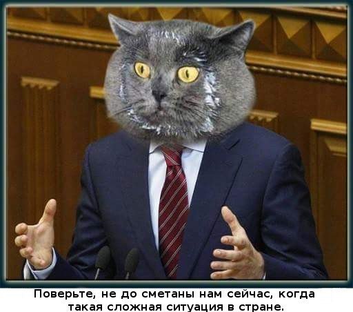 В Думе предложили освободить часть попавших по санкции физлиц от налогов