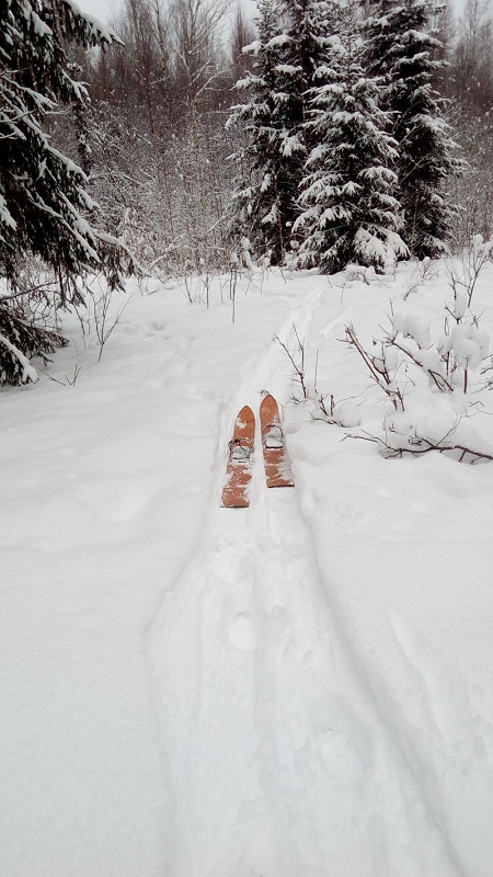 Деревня Девкино. Боровичский район Новгородской области. Фотоподборка.