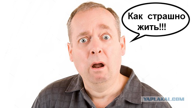 Обложки "журналов" и заголовки "новостей"