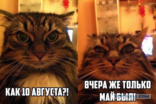 Эти комментарии меня доканают...