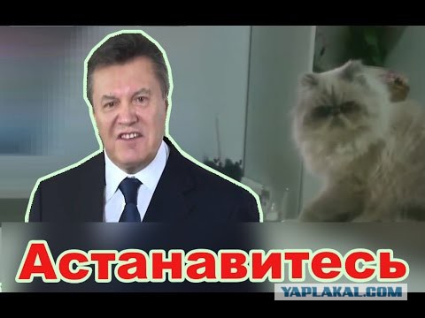 По-моему скоро финал семейной жизни