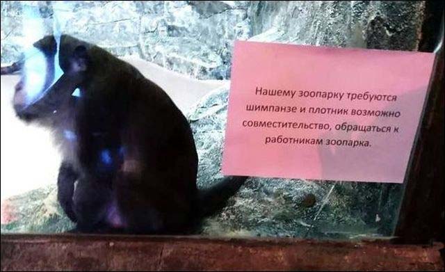Забавные картинки из Сети.