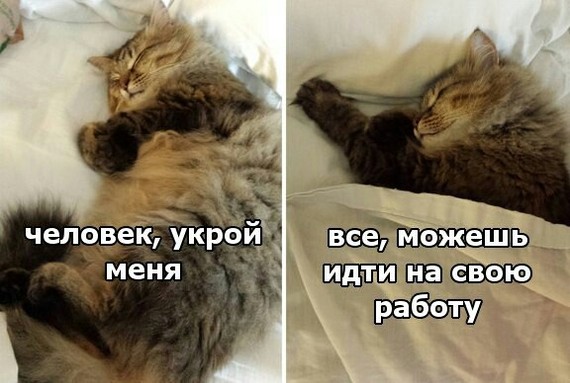 Приготовились?