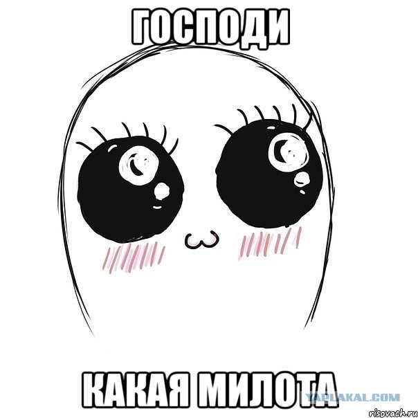 Самая маленькая большая кошка