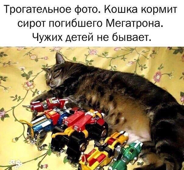 Нестандартный юмор