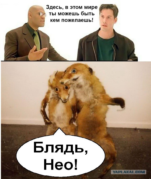 Киану Ривз: Люди которые хотят освободиться от «Матрицы»