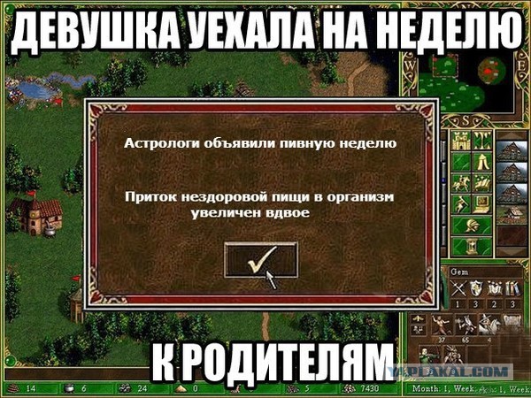 Немного алкоюмора
