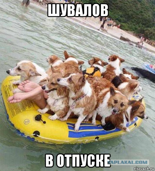 Подборка интересных и веселых картинок