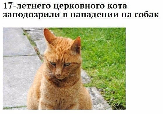 Немного веселых картинок из этих наших интернетов