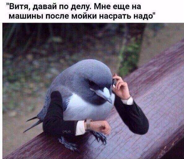 Куда катится жизнь