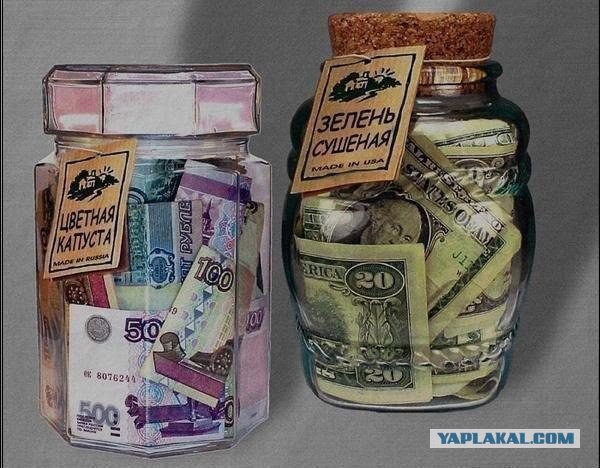Тюменская семья случайно выкинула в мусор миллионы рублей