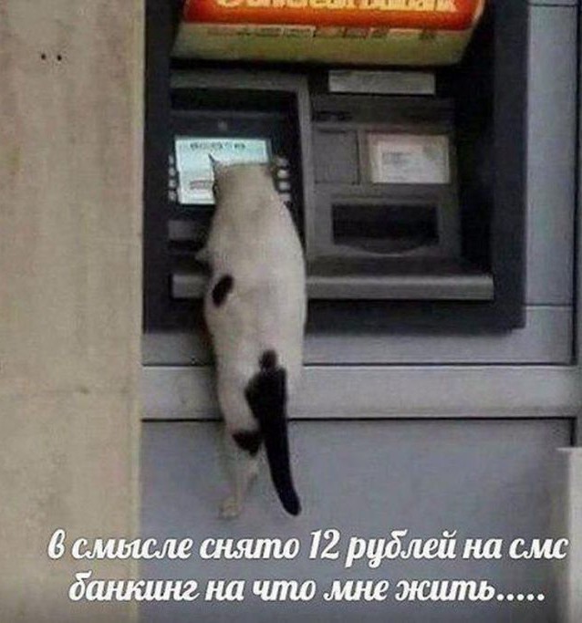 Чуток картинок 07.07.19