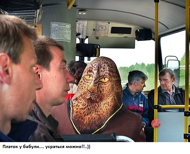 Чуток картинок 14.10.19