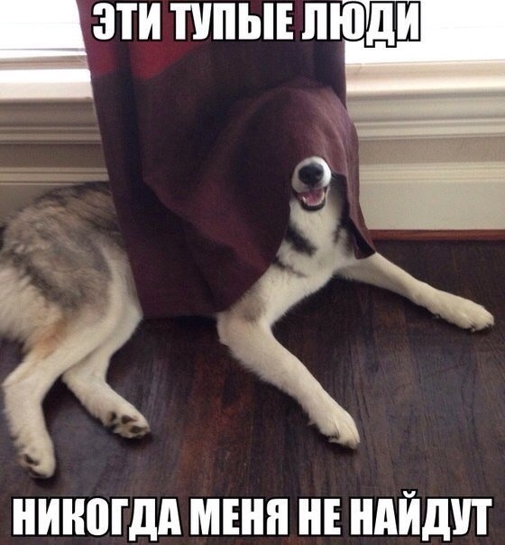 Подборка так себе картинок