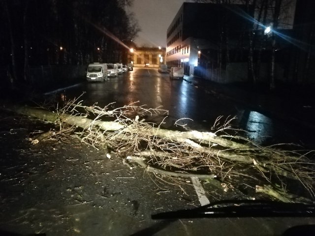 К Петербургу подступает шторм: "Только легкий ветерок твои краны колышет"
