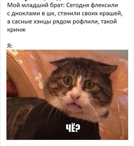 Свинегрет: картинки, надписи и прочее 04.02.20