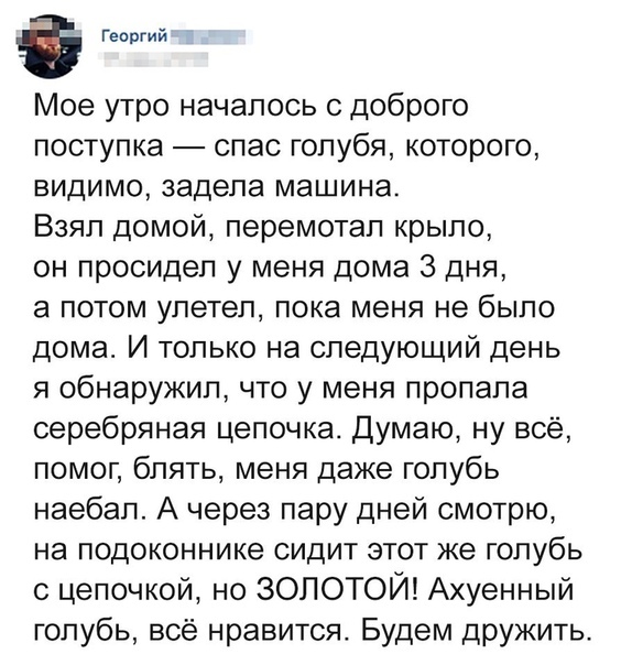 Чуток картинок 06.04.20