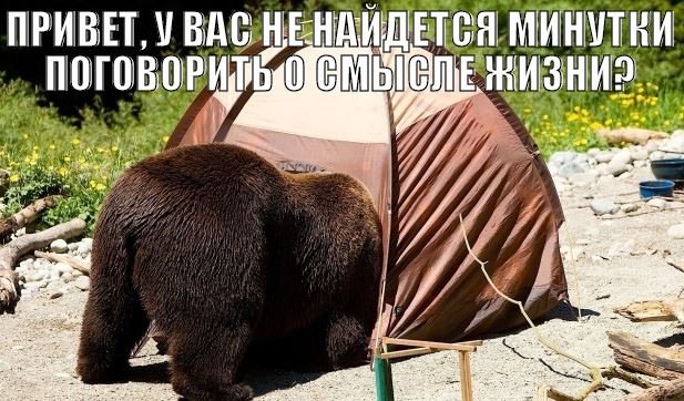 Прикольные и просто красивые картинки 10.04.2020