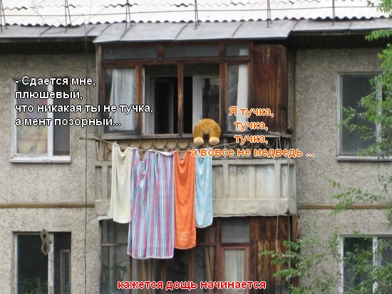 Конкурс: подпись к картинке