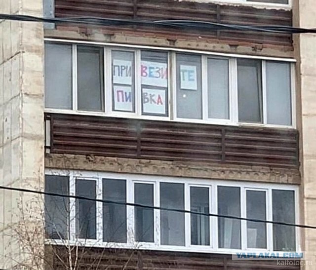 Россия изнутри