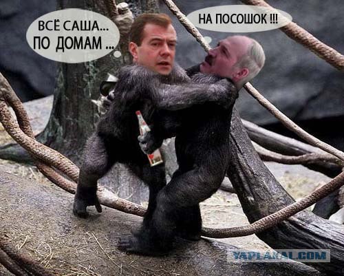 Медведев и Лукашенко