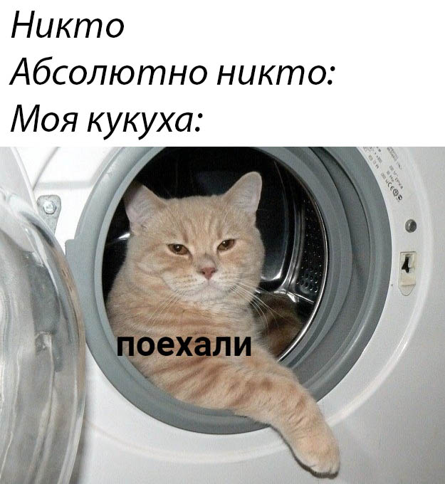 Кукуха отлетела у одной- страдают все