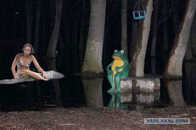 А давайте пожабим эту деваху