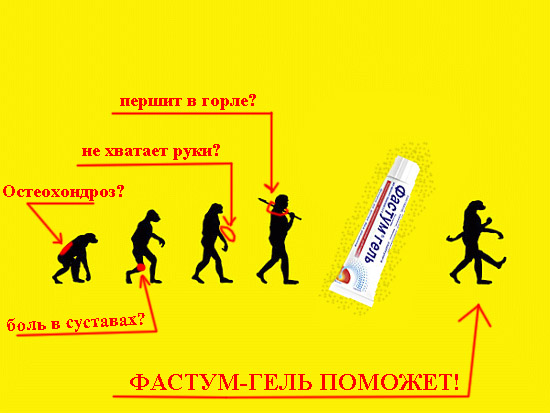 Эволюция