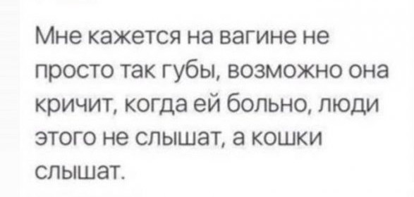 Бредзона 14.10.20