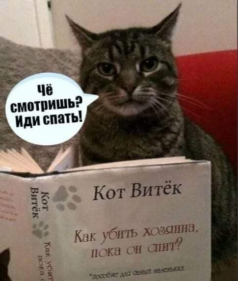 Бредзона 30.10.2020