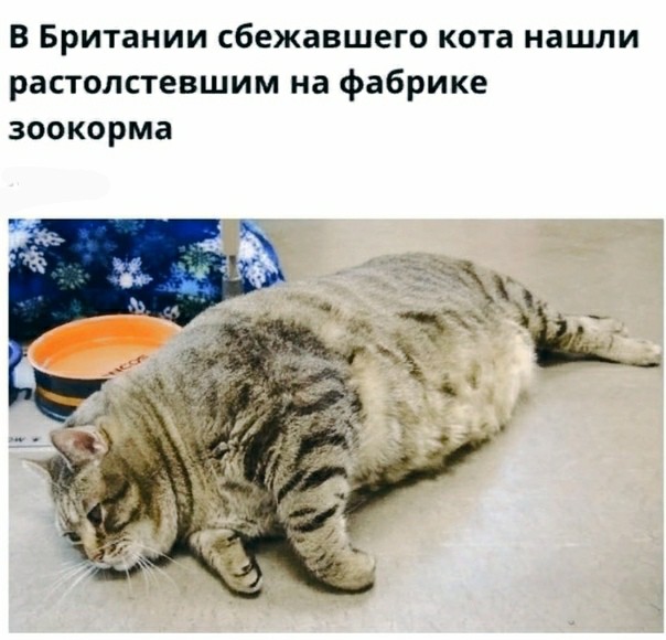 Немного картинок для настроения 16.11.20