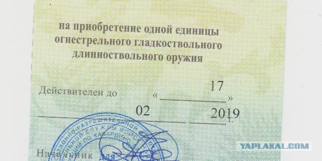 Чёрт, да как так то! (любителям оружия)