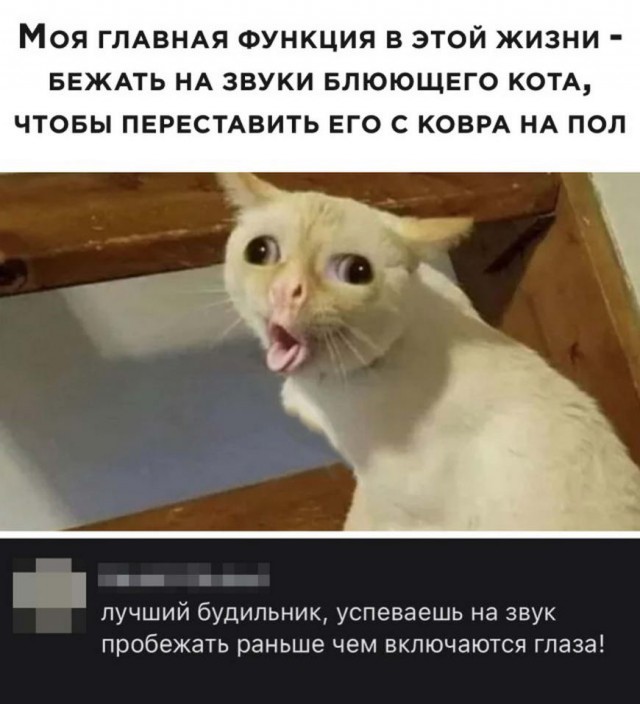 Бредзона 09.02.21