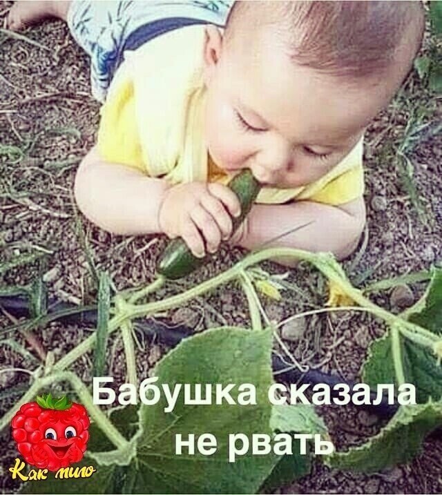 Баянисто-небаянистый юмор 09.08.21