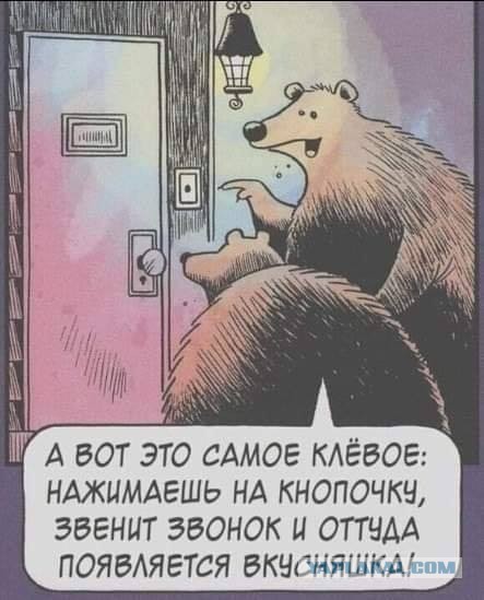 Бредзона 10.10.2021