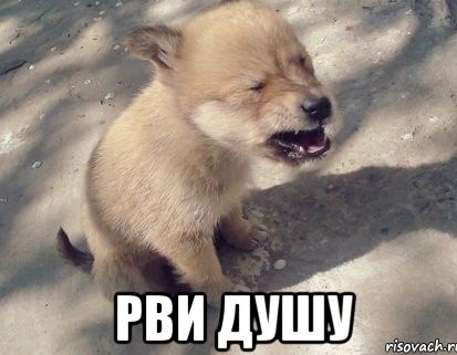Я примерно так же играю на гитаре