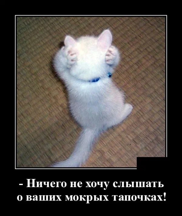 Картинки с надписями 17.07.22