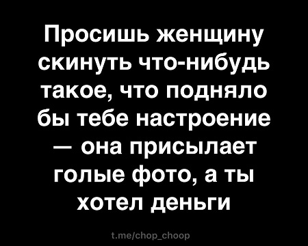 Весёлый полтишок 18.08.22