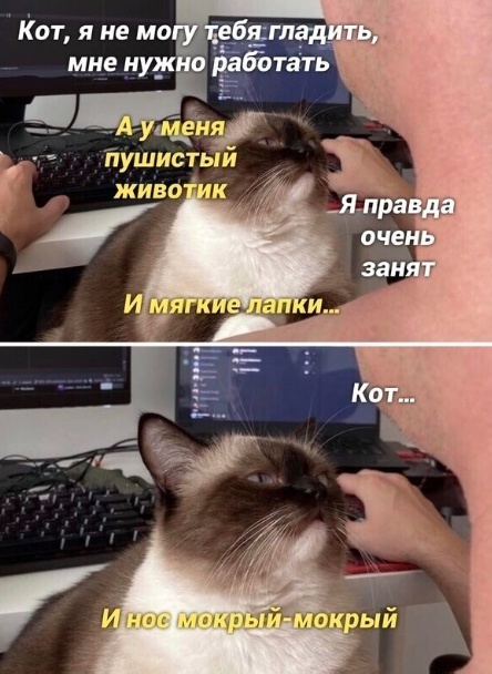 Так себе картинки 09.09.22